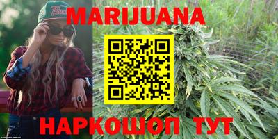 Альфа ПВП Обь