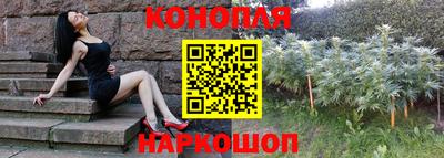 Альфа ПВП Обь