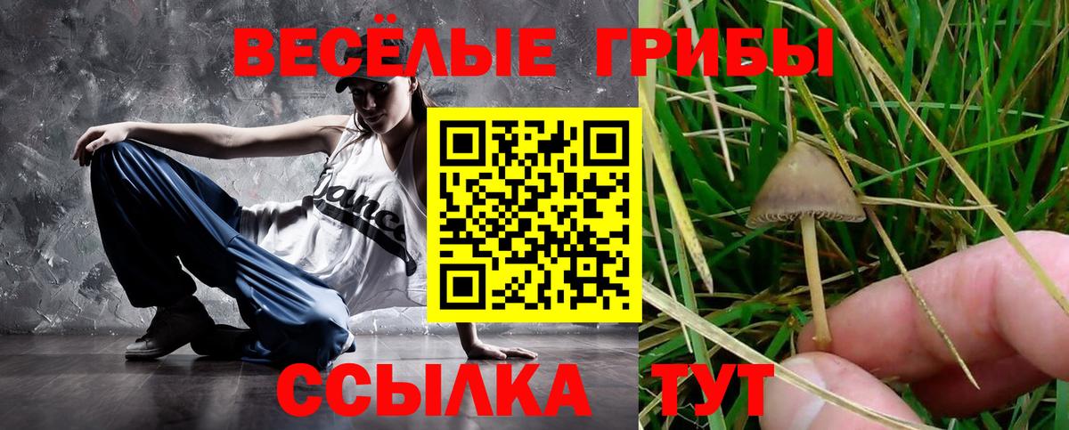 Псилоцибиновые грибы MAGIC MUSHROOMS Нягань