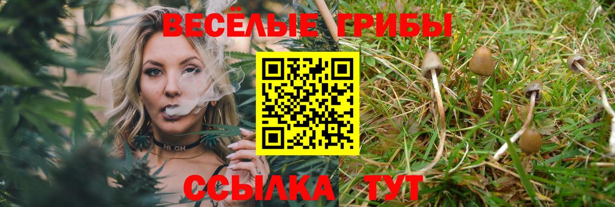 Псилоцибиновые грибы прущие грибы  Галлюциногенные грибы мухоморы  Нягань  купить закладку  Вход с VPN 